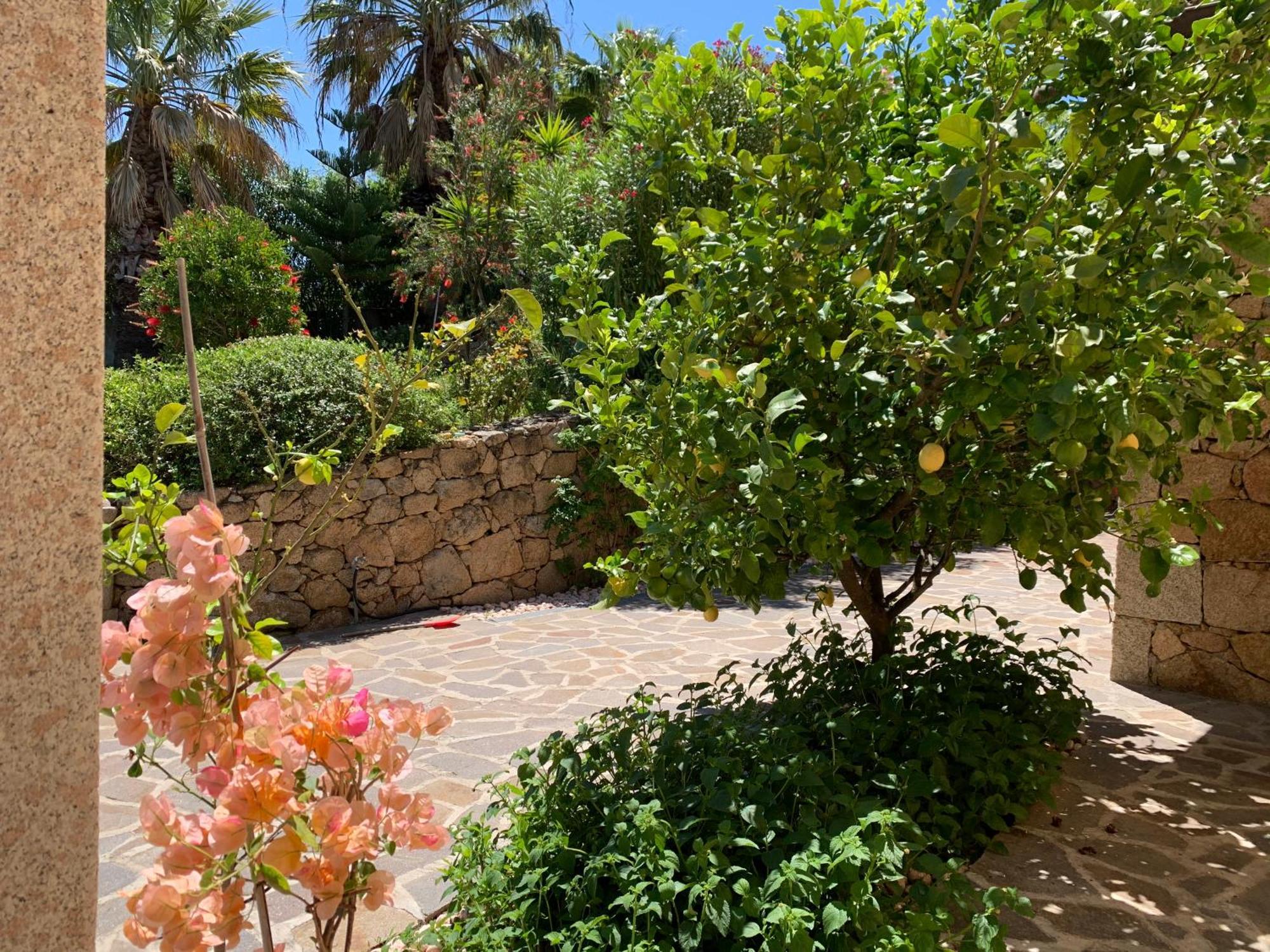 Villa Anastasia Cugnana Exterior photo